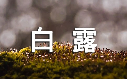適合白露節氣的詩句