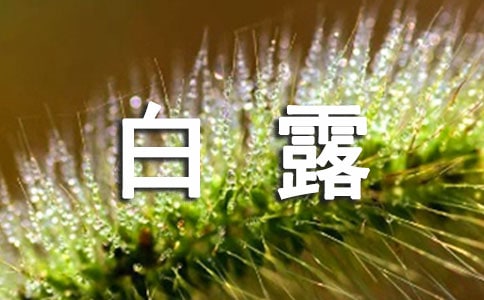 關于白露節氣的詩句