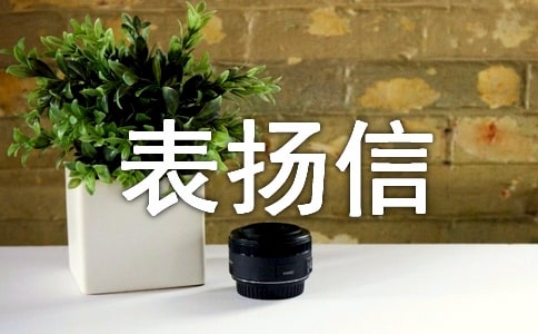 個人表揚信模板