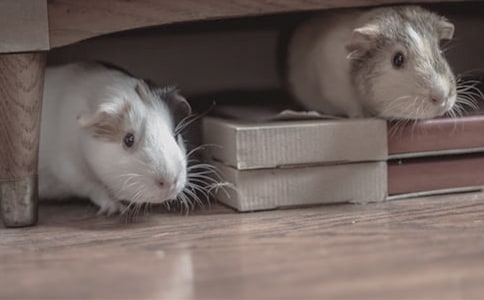 �}��v�Uӛ����3ƪ