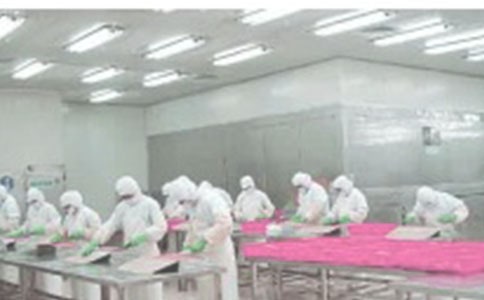 ܇�g���L(zh��ng)����(b��o)�桾���x��