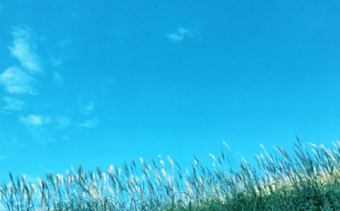 �����L(f��ng)��Ԋ��