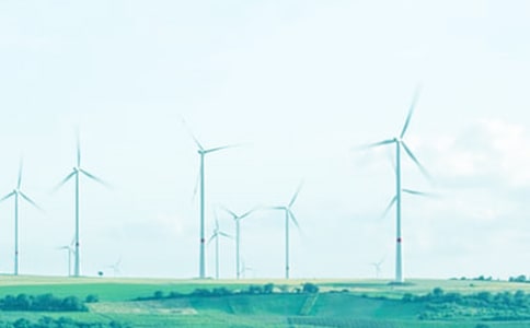 描寫春風的詩句通用15篇