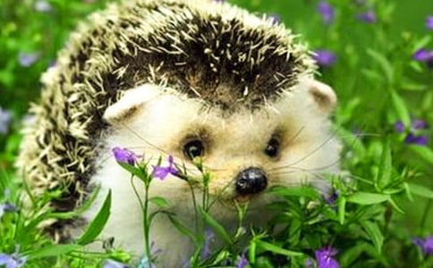 С�������[�؂�]