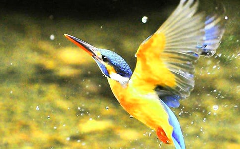 ���B������