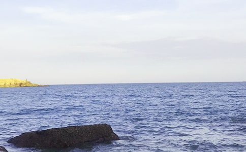 精選大海寫景作文300字合集九篇