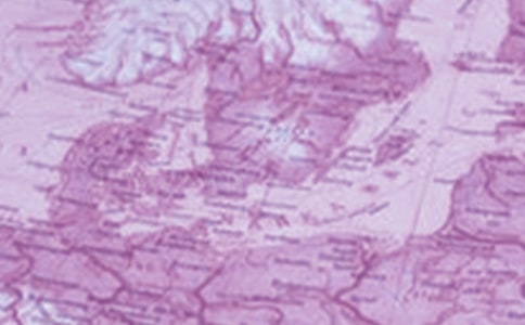 ���е��������