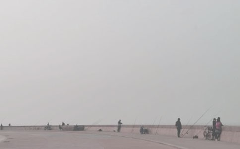 釣魚的作文(精選40篇)