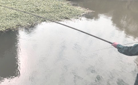 ��~(����)