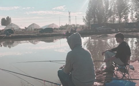 С؈��~���D��Ԓ���\[12ƪ]