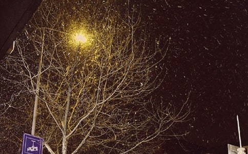 ������P��ף������