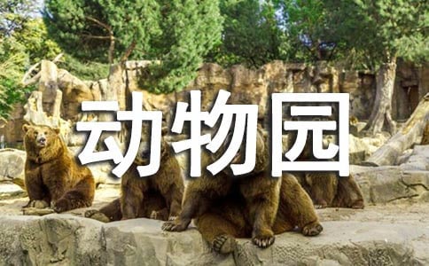 小小動物園作文