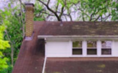 未來的房子作文15篇(精華)