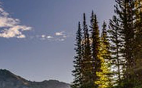 ���P���L���L��������ƪ