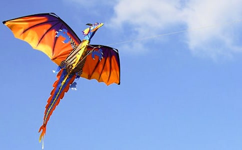 放飛的風箏作文