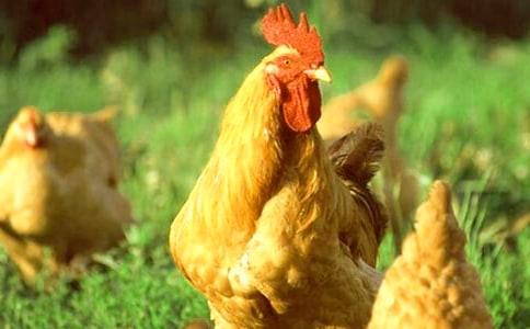 С���u���ġ����A15ƪ��