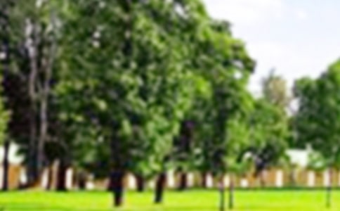 【推薦】寫景公園作文四篇