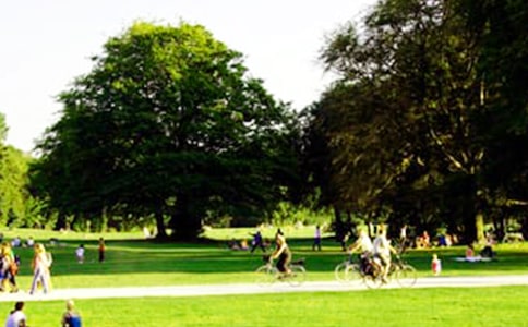 公園的游記15篇(薦)