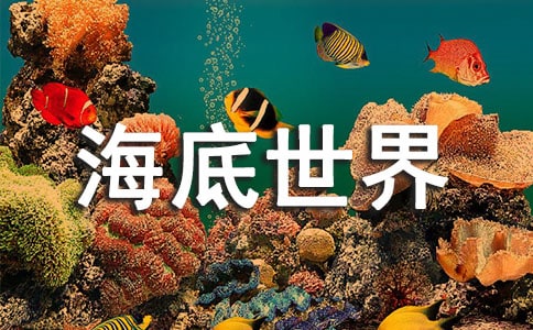 奇妙的海底世界