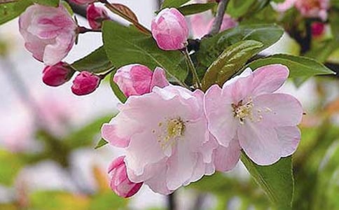 ���Ľ�(j��ng)���_�~