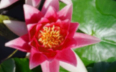 �P���茑�ɻ��Ĺ�Ԋ�~���䘷��