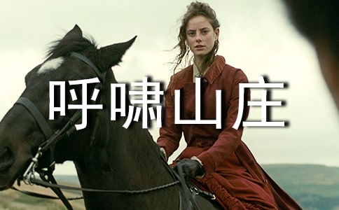 《呼嘯山莊》經典讀后感