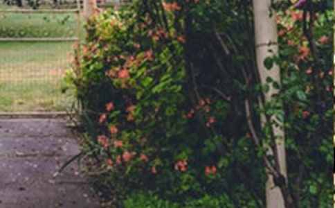 �ҵ�С���@����