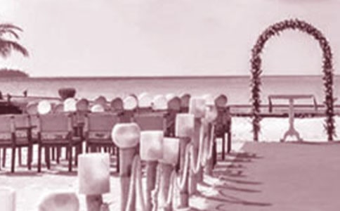 ��Yף���R�~��(y��u)��15ƪ