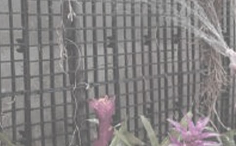 ���꼉�������ąR��10ƪ