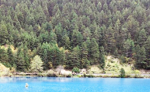 ��կ�ό���15ƪ[��]