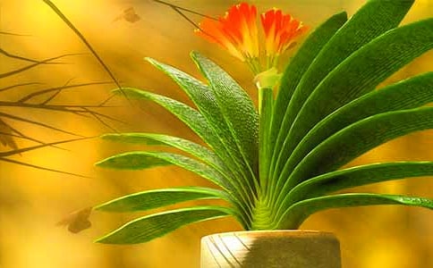 �������m������13ƪ(�ϼ�)