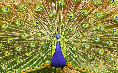 ��ȸ�_���~������