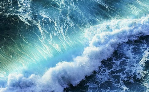 一朵美麗的浪花作文錦集【15篇】