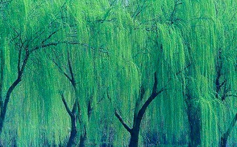 �茑�����Ԋ��[���T]