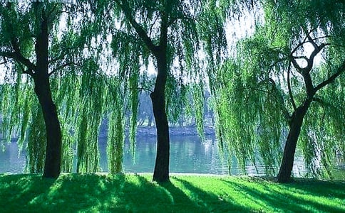 �茑�����Ԋ��