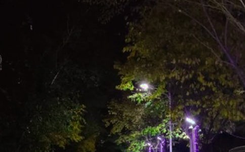 我是一盞路燈作文匯總15篇