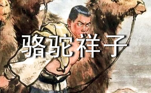 駱駝祥子每一章讀書筆記(精選23篇)