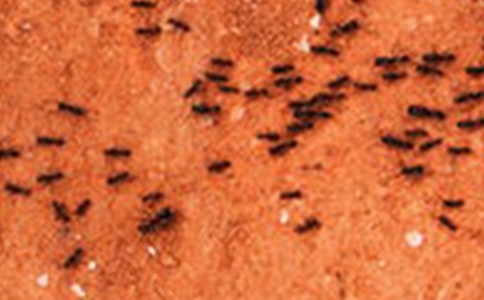 �^��Λρ����ӛ