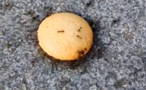 �P(gu��n)��Λρ��.Ъ���Z