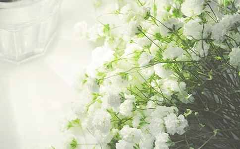 [��]�M���ǵ�����15ƪ