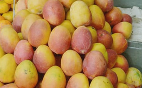 �����A��â��������