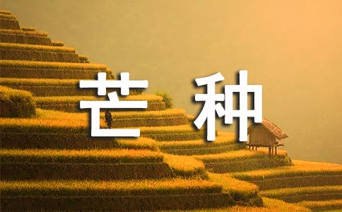 芒種節氣的諺語