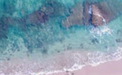 描寫四季美景的詩句