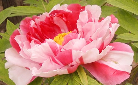 ���꼉ĵ�������\��10ƪ