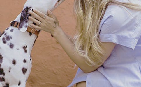 ������Ů�Ե�ʮ�����|