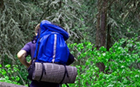 ��ɽ��ʲô�ɼZ����