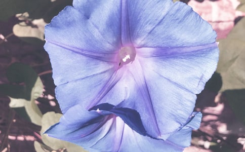 �茑��ţ�������ľ���110��