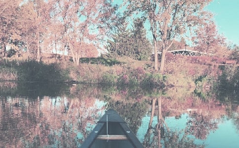 �＾�Ҝ�ʳ�V��ȫ������ ֵ���ղأ�