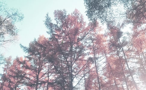 �＾ϴĘ �@�ߴ����e��