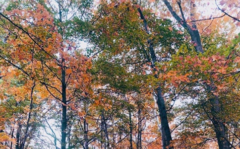 ����˽�Z���ģ����x20ƪ��